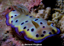 very strong current,visible in the subject..... by Bernard Maglana 